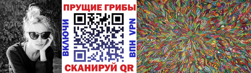 hydra ССЫЛКА  Северодвинск  Псилоцибиновые грибы Cubensis 